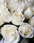 Roses Two & Three Dozen - More Colors